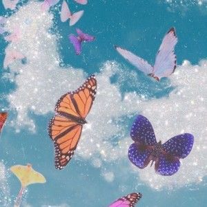 Meet your Posher, Naomi